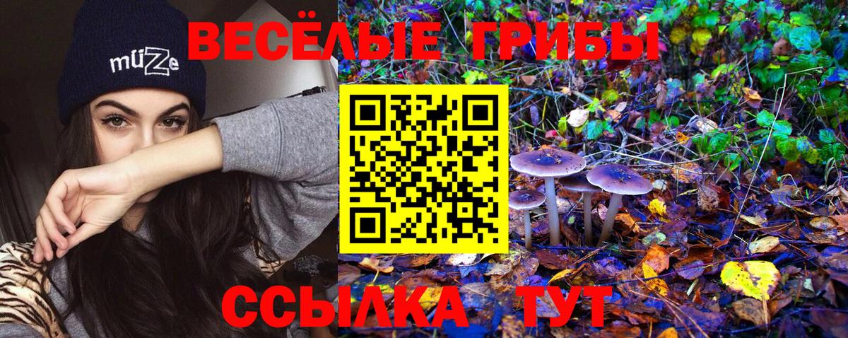 Псилоцибиновые грибы ЛСД  купить   Сыктывкар  Вход с VPN 