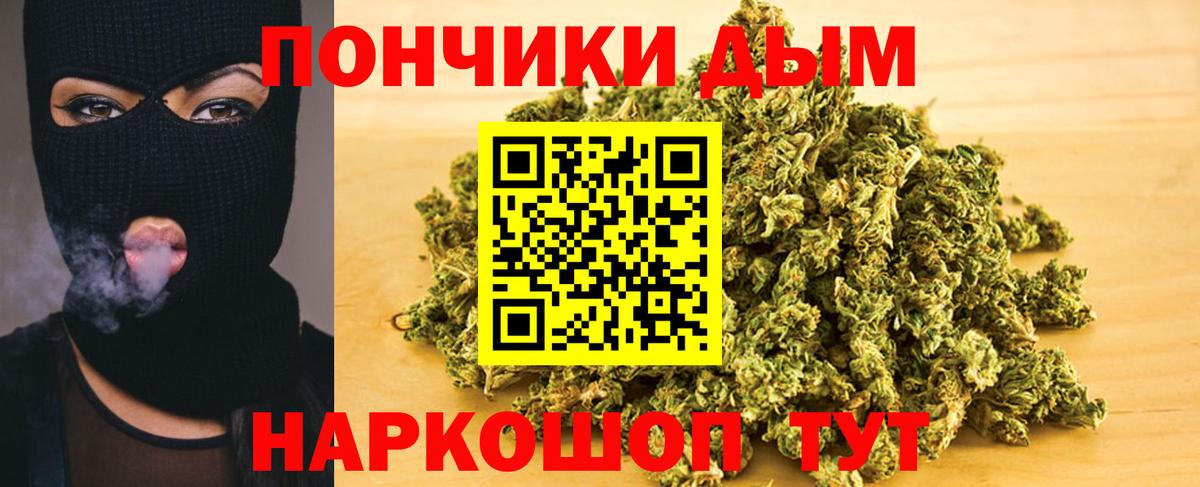 Бошки марихуана конопля Сыктывкар